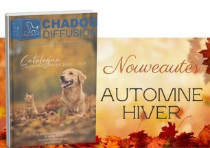 Nouveautés
