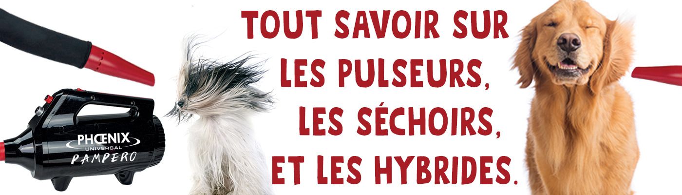 Pulseur, séchoir pour chien