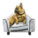 Couchage et maison