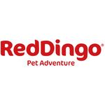 RED DINGO
