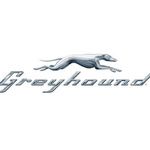 GREYHOUND