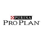 Pro Plan