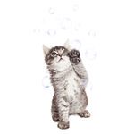 Shampoings et soins du chat