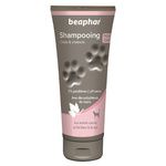 Shampoing chats et chatons