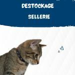 Sellerie