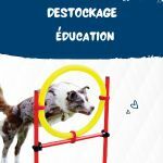 Education