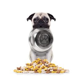 Alimentation et Friandises