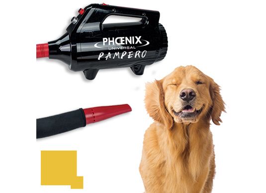 Les séchoirs pulseurs pour chien