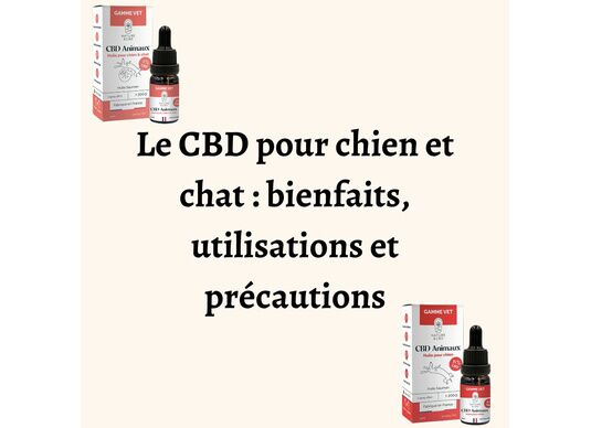 Le CBD pour chien et chat : bienfaits, utilisations et précautions